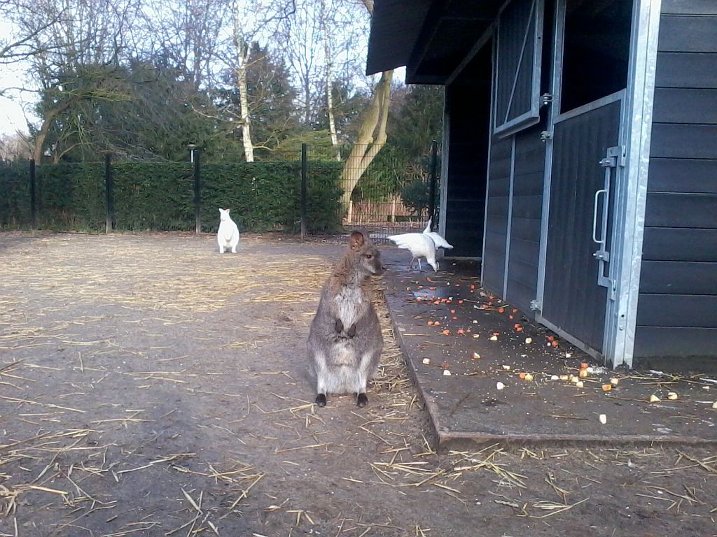 Stadsboerderij de Amsteldieren - Amsterdam